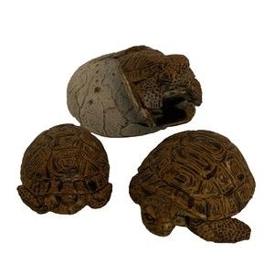 Tortoise AAA Figure Realistic Lifelike Turtle Hatching Egg Galapagos CE Lot of 3